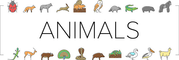 野生动物，昆虫和鸟类图标设置图片下载