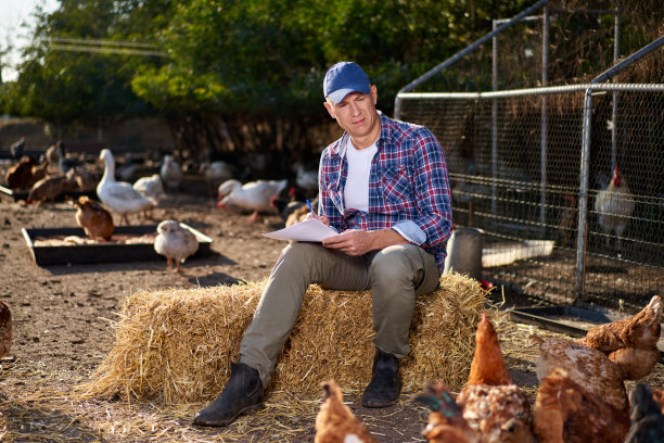 农场主正在寻找养鸡场的合同图片下载