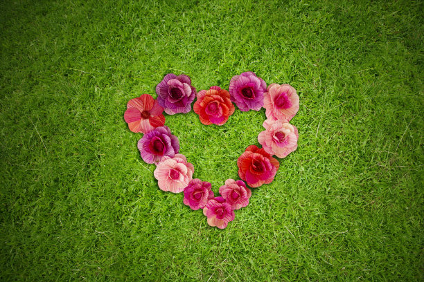 绿草如茵的草地上，玫瑰花型成心形符号图片下载