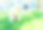 公园里可爱的白狗。图片下载