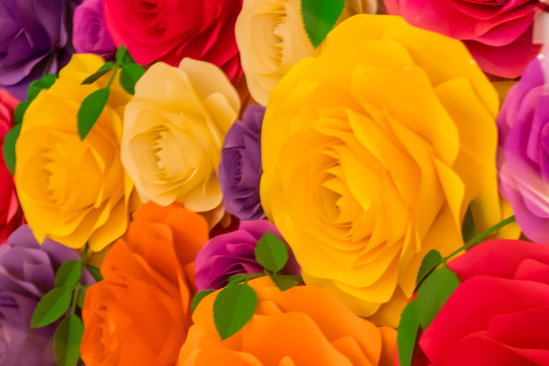 商场里五颜六色的玫瑰图片下载