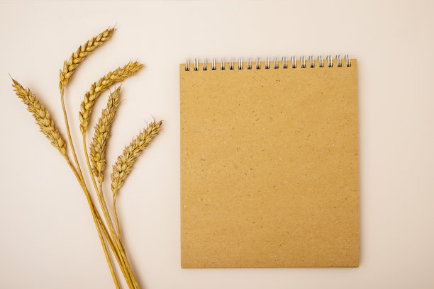 成熟的小麦穗和再生纸记事本在光的背景图片下载