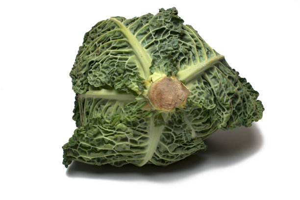 特写后面成熟的卷心菜头白色背景图片下载