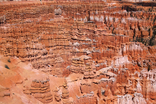 布莱斯峡谷国家公园皇后花园壮观的hoodoos field图片下载