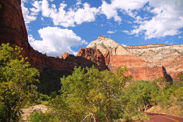 红铺的马路穿过锡安国家公园的红白山脉图片下载