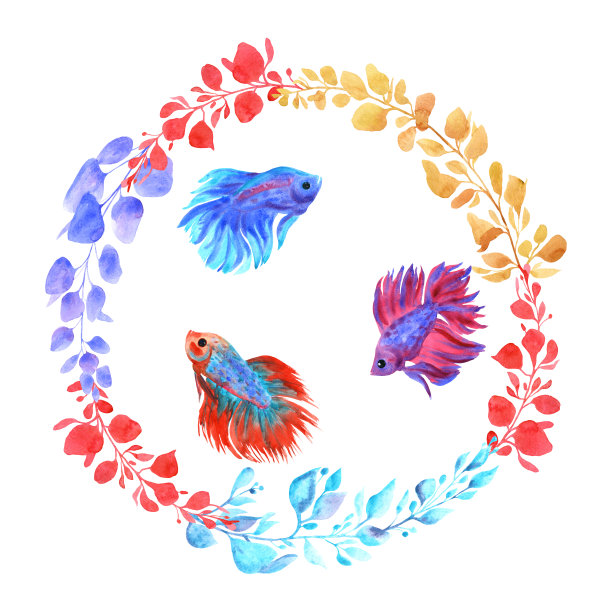 打鱼牌在白色。鱼和水生植物。水彩插图图片下载