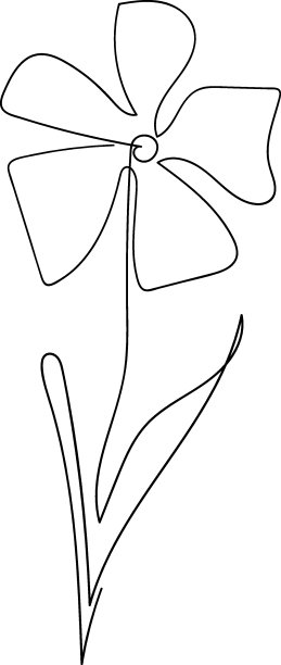 花连续一行图标。孤立的单花剪影。现代简约风格的线性标志。花卉元素，海报符号，社交媒体故事，卡片，封面。向量潦草图片下载