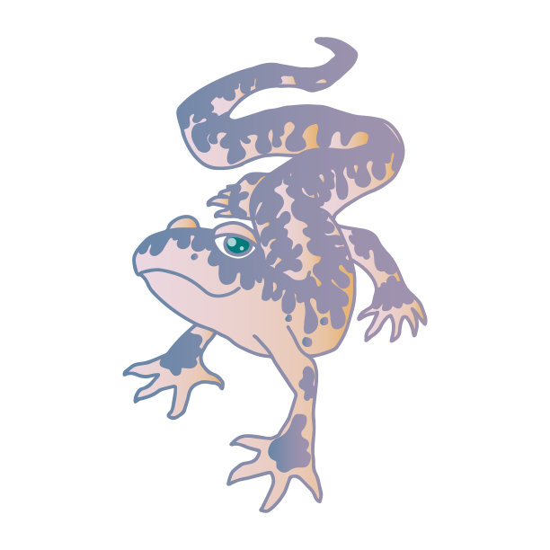 壁虎豹矢量孤立手绘图片下载