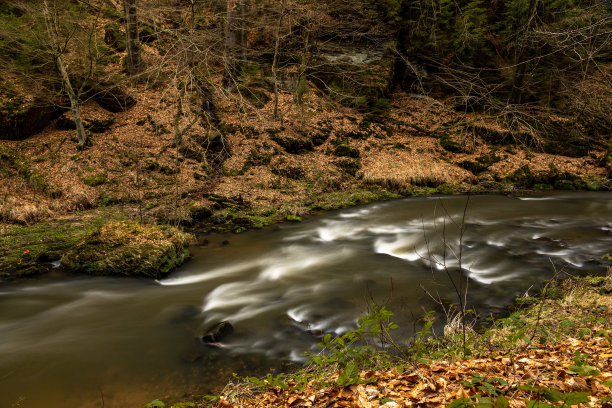 捷克加梅尼斯河峡谷中流动的河流图片下载