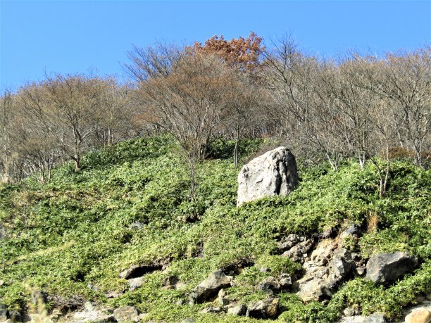 日本。11月。在山里。图片下载