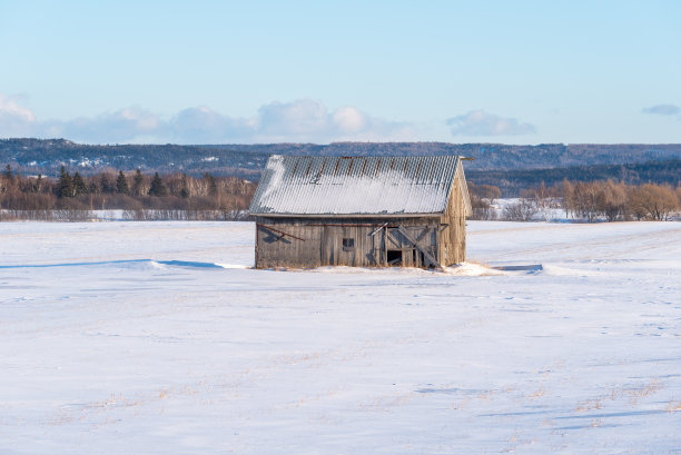 魁北克乡村雪地里的一座旧谷仓图片下载
