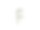 主题字体字母F图片下载