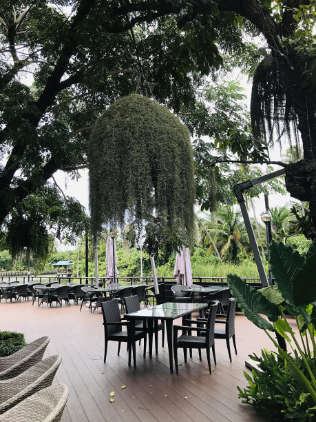 把餐桌放在花园里。图片下载