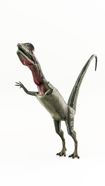 恐龙孤立在白色背景上图片下载