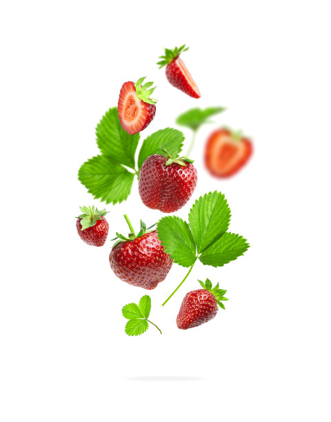 成熟新鲜的飞红草莓，绿色的叶子孤立在白色的背景。草莓图案夏日美味甜浆果有机水果食品饮食维生素创意布局。全果和对半果图片下载