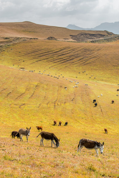 莱索托图片图片下载