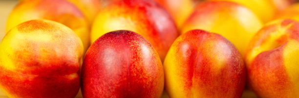 油桃宏图片下载