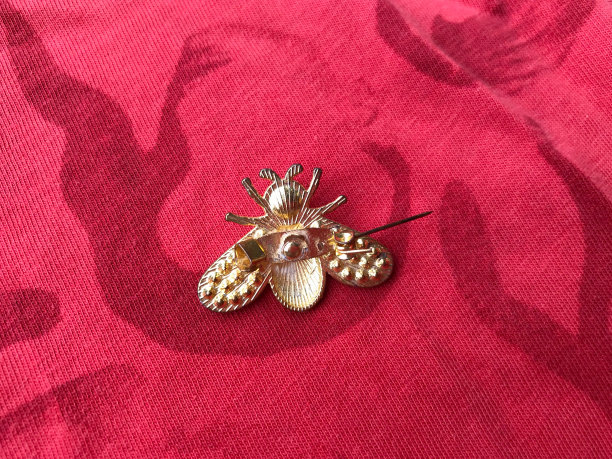 蜜蜂形状的胸针图片下载