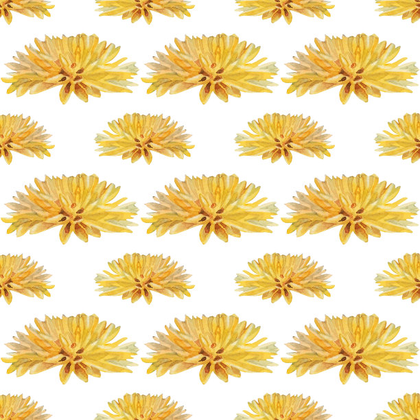 无缝图案水彩黄色菊花或蒲公英在白色的背景。复古手绘的太阳，夏天和春天的花朵庆祝卡。艺术墙纸包装速写本图片下载