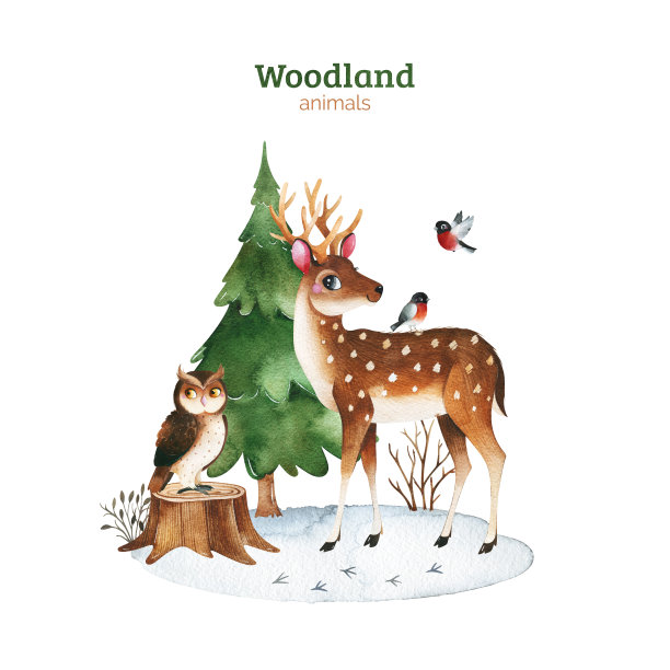 可爱的林地集合。图片下载