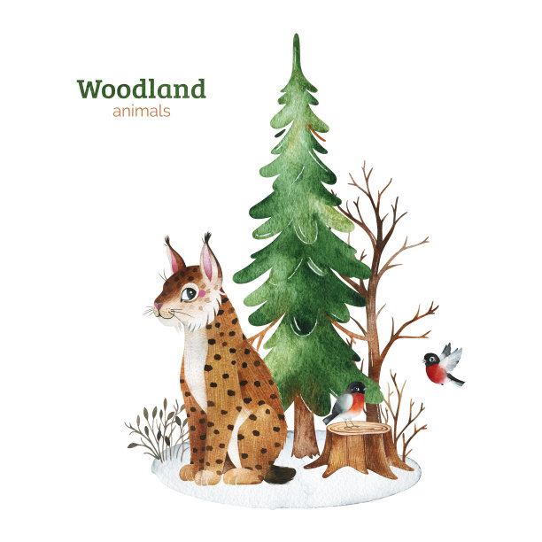 可爱的林地集合。图片下载