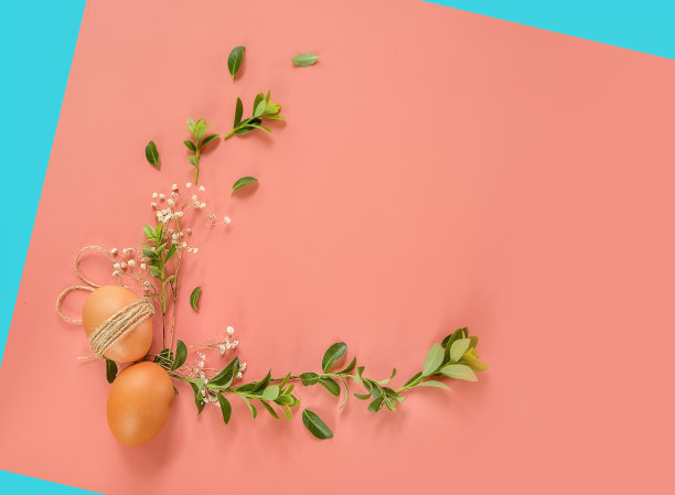 复活节彩蛋与绿色植物，复制空间的文本，宣传或信息。复活节问候或销售概念图片下载