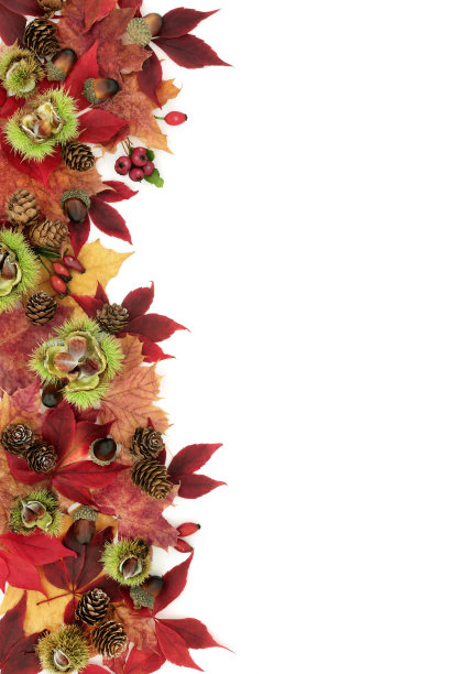 美丽的颜色的秋天背景边界图片下载