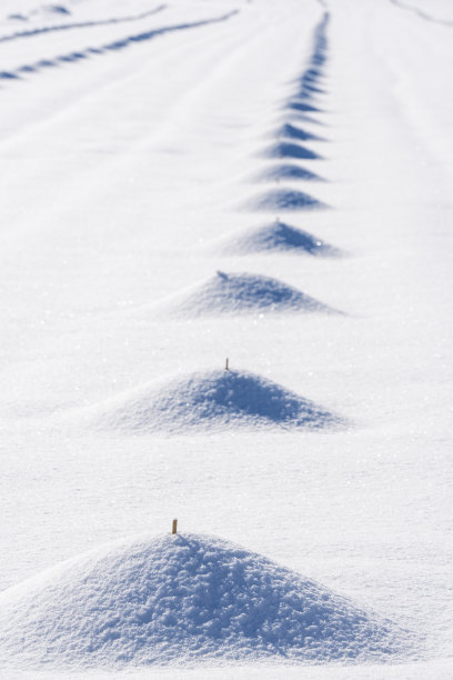 西班牙巴伦西亚省的El Toro Castellon村发生菲洛梅娜暴风雪后图片下载