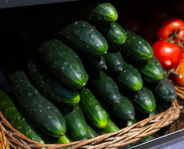 新鲜成熟的黄瓜出售图片下载