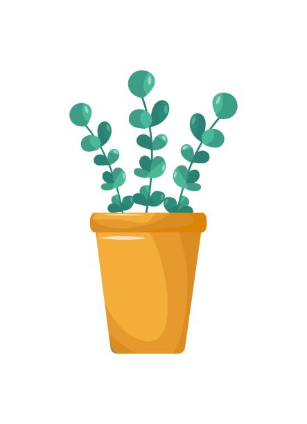 在室内种植彩色的波西米亚盆栽植物。室内多叶植物，生长在花盆、花瓶里。美丽的家庭室内装饰。家的花园。平面矢量插图孤立在白色背景上图片下载