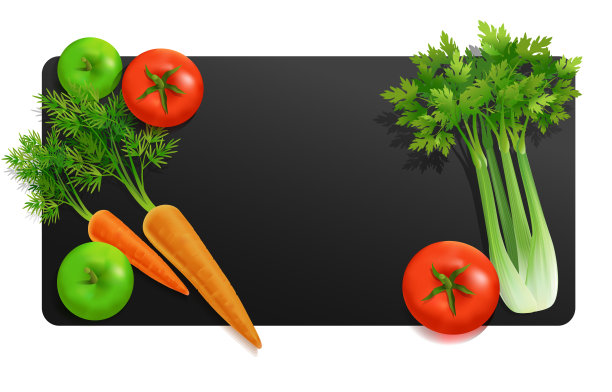 现实向量蔬菜产品俯视图图片下载