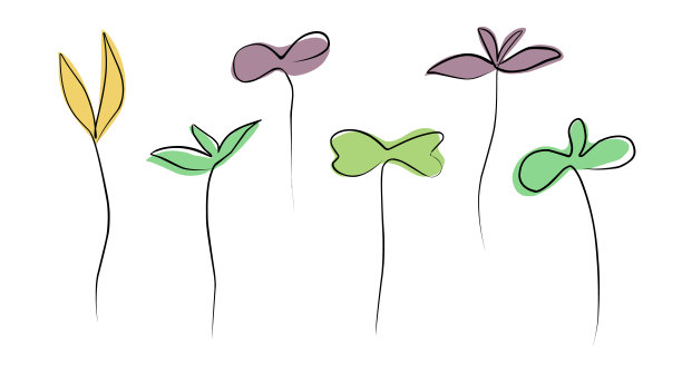 绿芽。微绿色生长种子，植物生长期。有叶和根的幼苗。蔬菜发芽过程。在花园中种植的孤立幼苗。向量有机健康食品套装图片下载