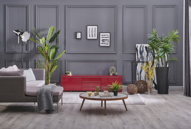 灰色客厅电视单元配沙发，现代家装背景墙，绿色植物风格。图片下载