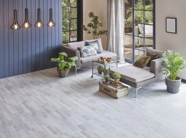 现代房沙发和空拼花地板为地毯设计，家装背景，灯架，园景室外住宅概念室内风格。图片下载