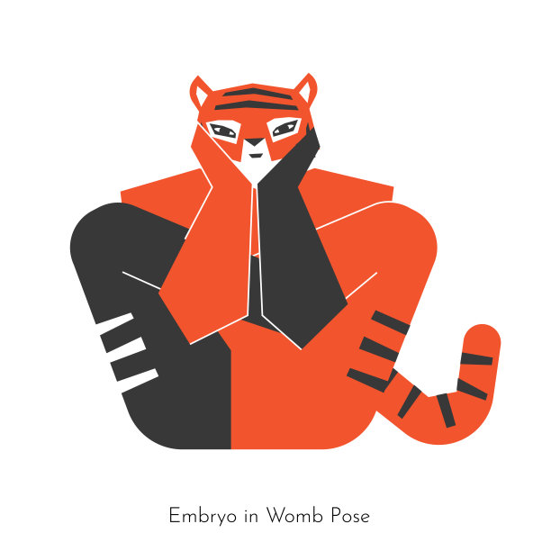 矢量隔离概念与动物性格学习瑜伽练习-胚胎在子宫姿势。孟加拉虎做核心体位-加尔巴平达体位。平面插图显示的是坐着运动锻炼图片下载