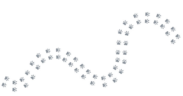 动物脚印方向点为地图。图片下载