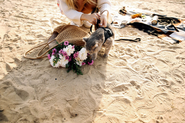 沙滩上戴着狗绳的女人图片下载