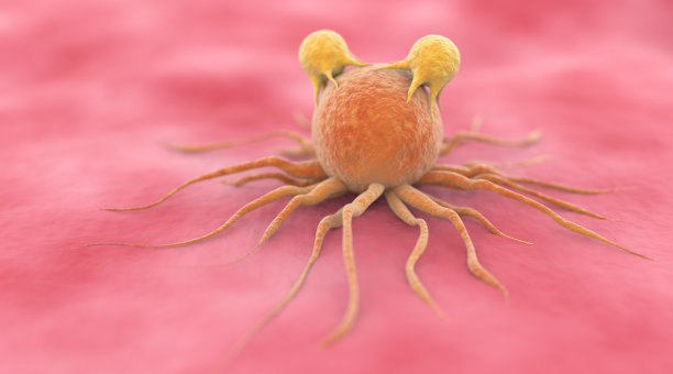 t细胞攻击癌细胞图片下载