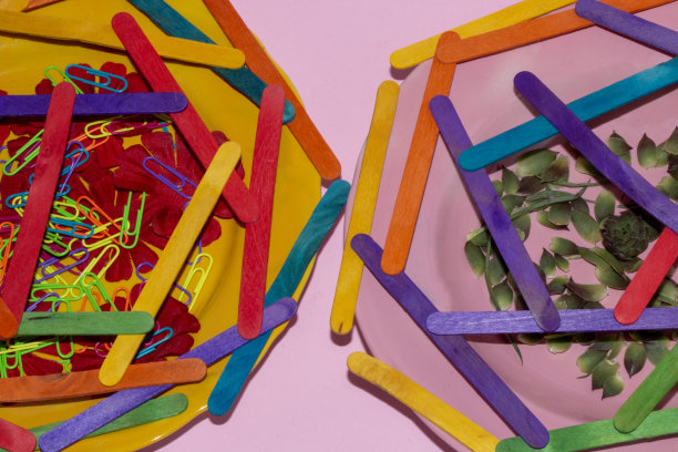 可以看到中间有两个盘子，上面钉着粉红色的长生不老花的黄色彩色钉，钉上的是木棒图片下载