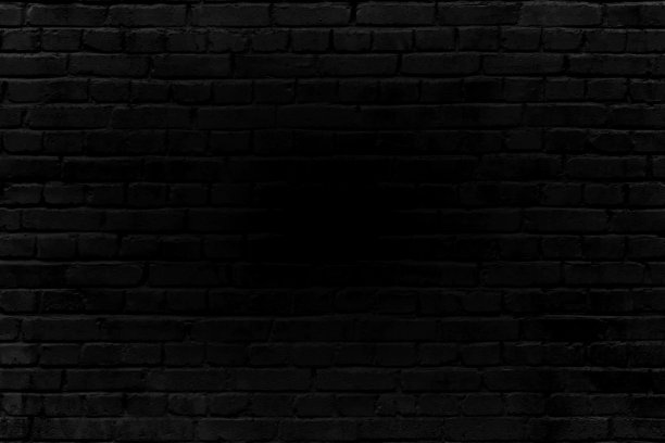 黑砖细胞膜图片下载