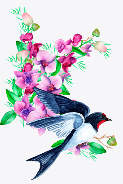 水彩亚洲鸟在花。五颜六色的花，日本鸟。白色背景上的传统民俗时尚装饰。图片下载