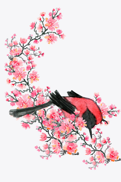 水彩亚洲鸟在花。五颜六色的花，日本鸟。白色背景上的传统民俗时尚装饰。图片下载