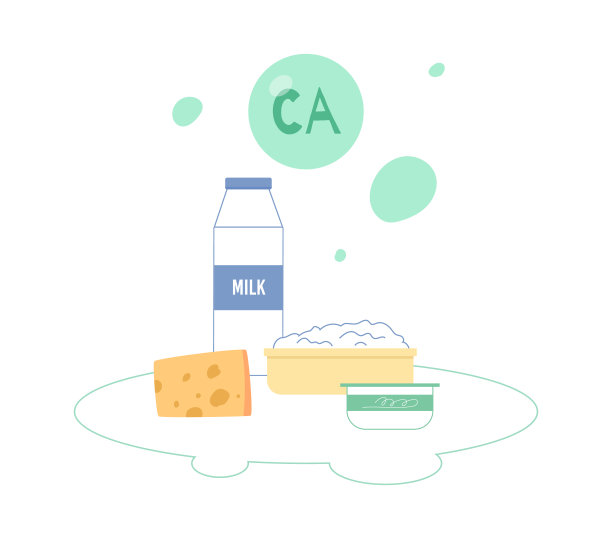 富含钙的有机食品钙平面矢量插图孤立。图片下载
