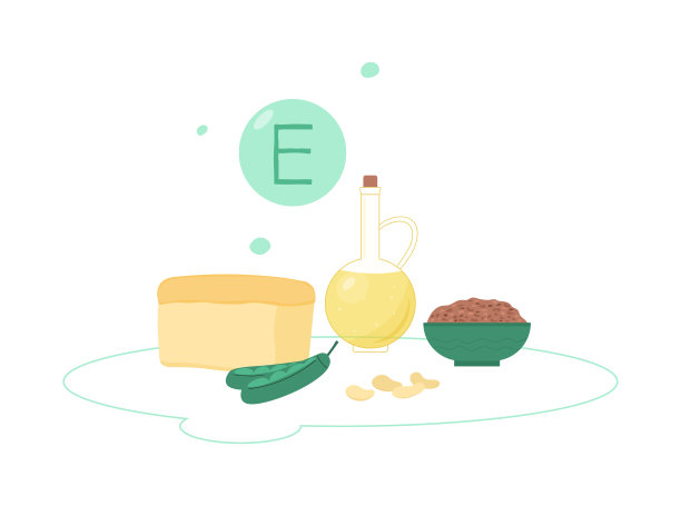 维生素E天然食物来源平面矢量插图孤立在白色上。图片下载