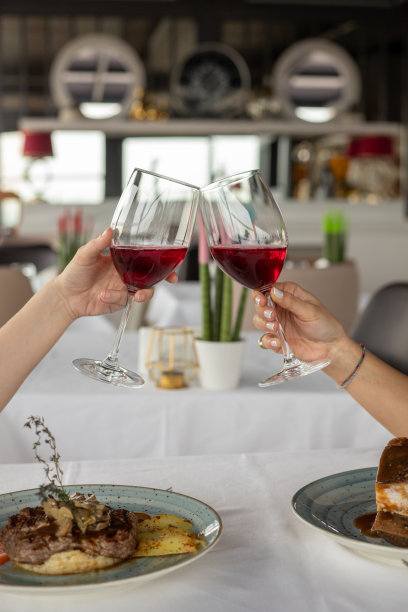 朋友们共进午餐，共饮红酒图片下载