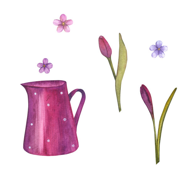 罐子，郁金香，勿忘我水彩画。手绘卡孤立在白色背景。水罐，郁金香，勿忘我设计，婚礼，卡片。图片下载