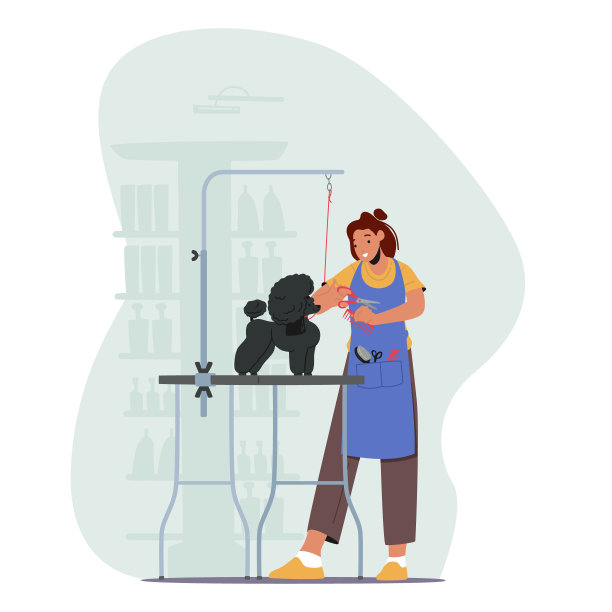 美发师女性角色提供美容服务，切割和梳狗在沙龙，家畜站在桌子上图片下载