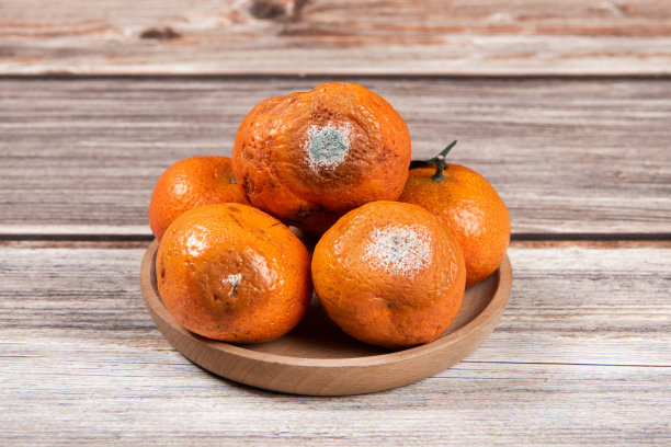 木桌上放着腐烂发霉的小橘子图片下载