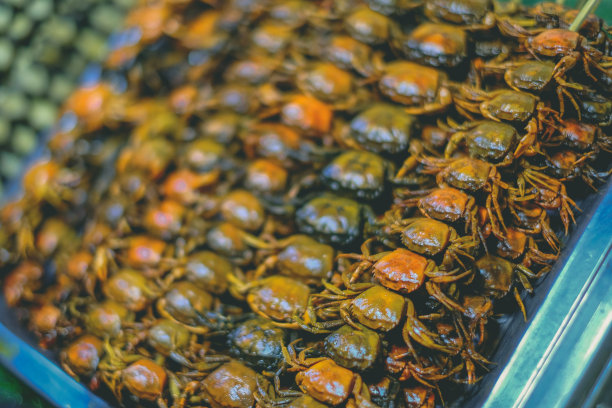 美泓河的烤虾和蟹图片下载