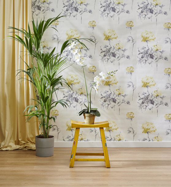 现代的壁纸背景在房间里，木制家具桌椅概念和橱柜，黄色的地毯和绿色的植物花瓶。图片下载